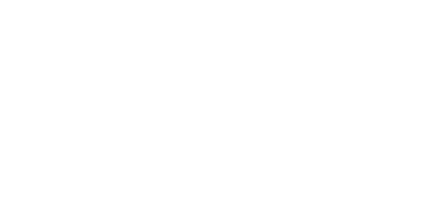 Lissy Logo